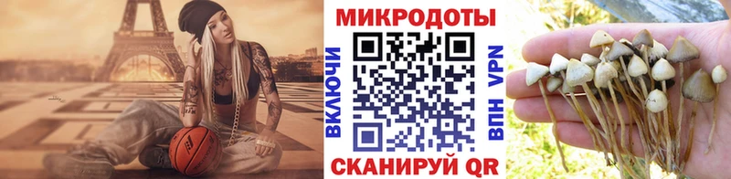 Галлюциногенные грибы Psilocybe Саяногорск